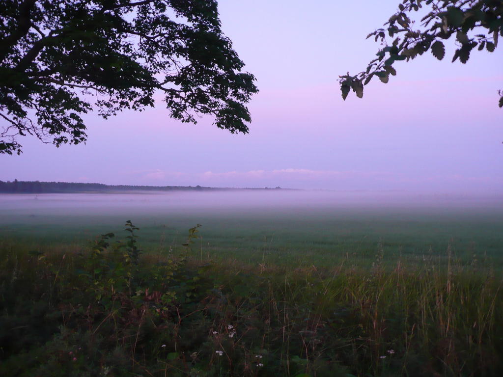 Skogis Bed & Breakfast Katrineholm Buitenkant foto