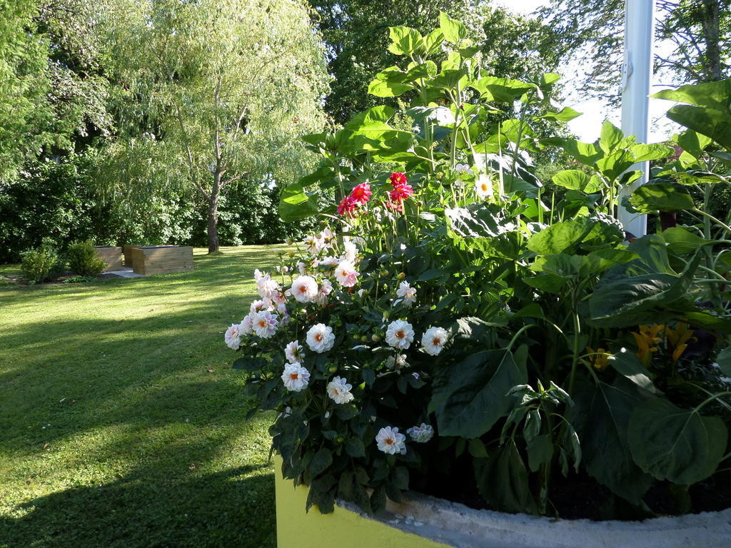 Skogis Bed & Breakfast Katrineholm Buitenkant foto