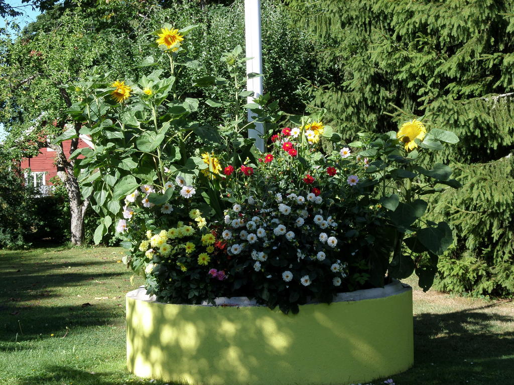 Skogis Bed & Breakfast Katrineholm Buitenkant foto