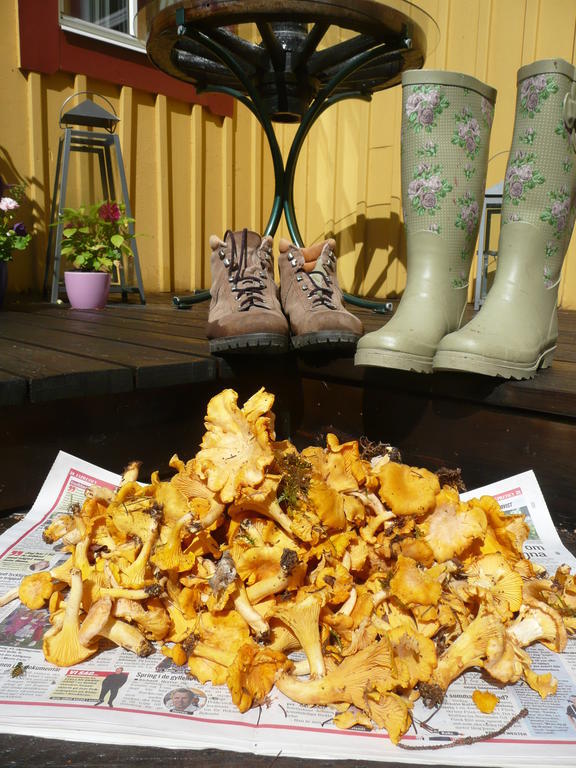 Skogis Bed & Breakfast Katrineholm Buitenkant foto